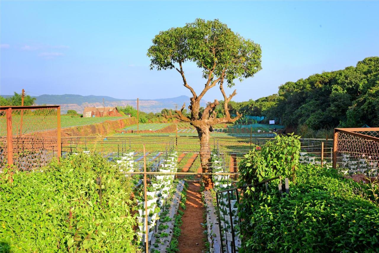 Hrishikesh Villa, Besides Valley Mahābaleshwar Exterior foto